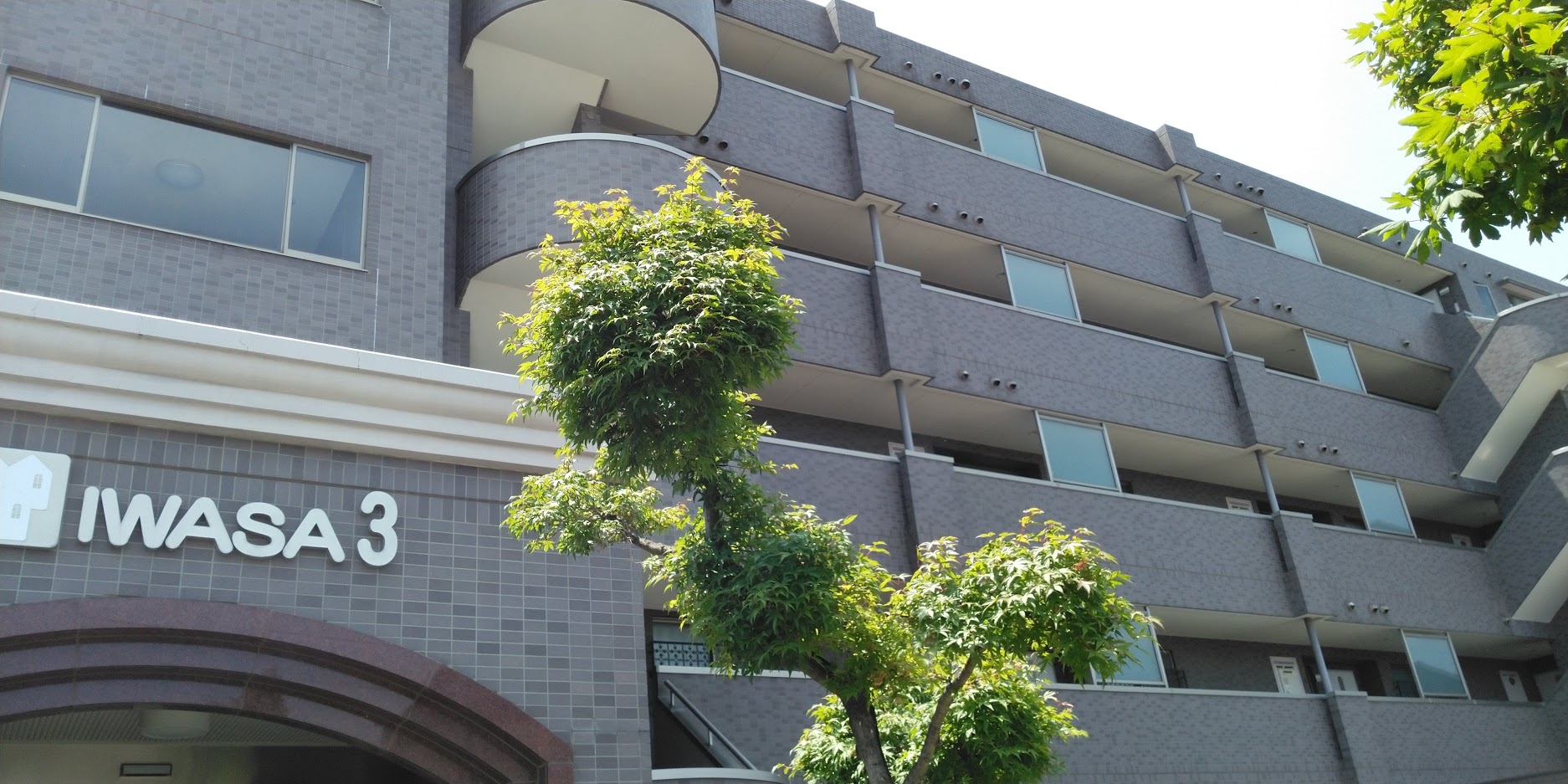ケヤキ周辺RCマンショ五階建て